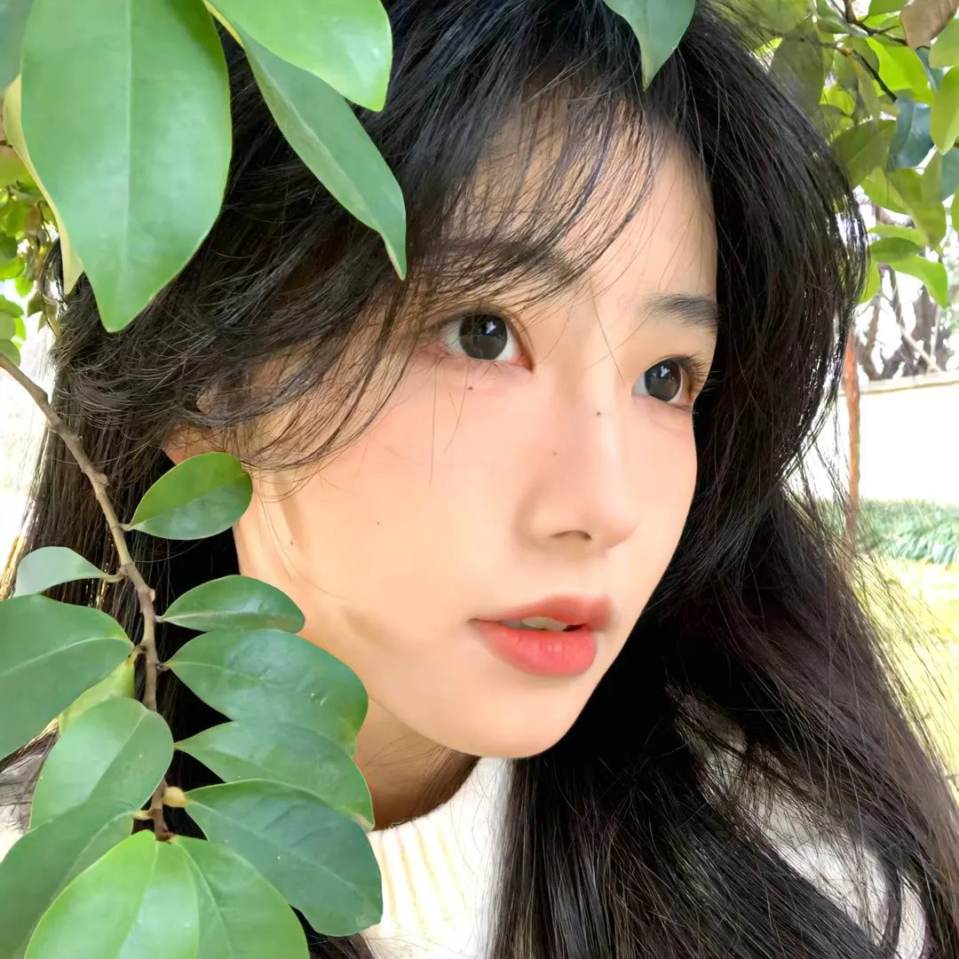 黑黑真好玩